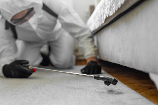 Professional Termite Control technician working in Davisboro, GA