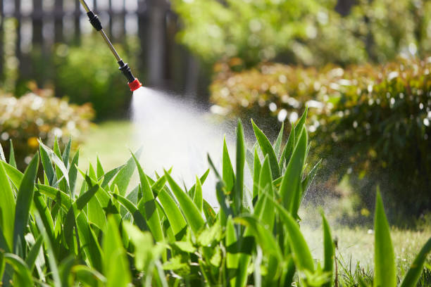24/7 Emergency Termite Control experts in Davisboro, GA