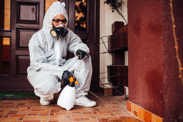 Reliable Termite Control contractor in Davisboro, GA by Nex Pest Control